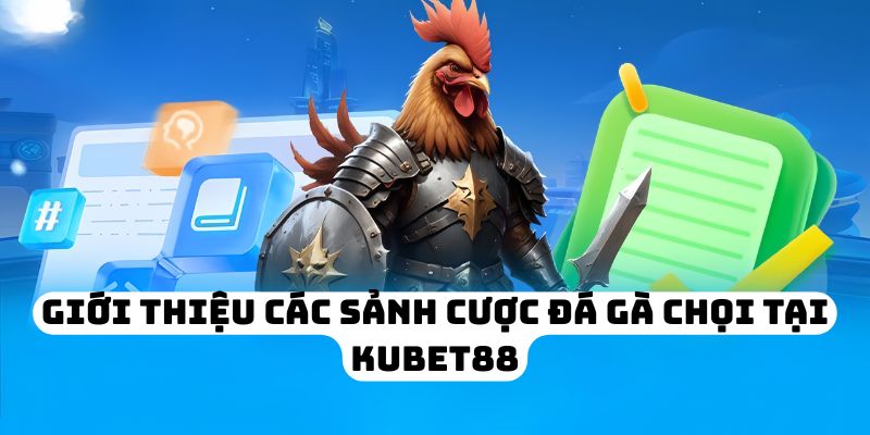 Giới thiệu các sảnh cược đá gà chọi tại KUBET88