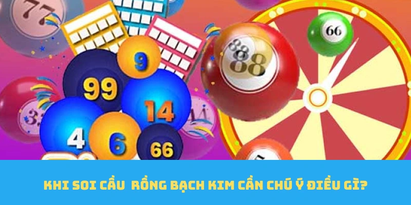 Khi soi cầu rồng bạch kim cần chú ý điều gì?