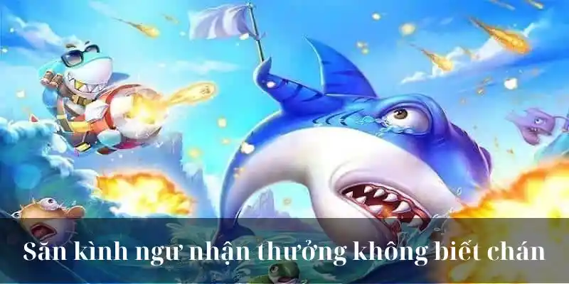 Săn kình ngư nhận thưởng không biết chán