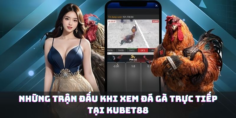 Những trận đấu khi xem đá gà trực tiếp tại KUBET88