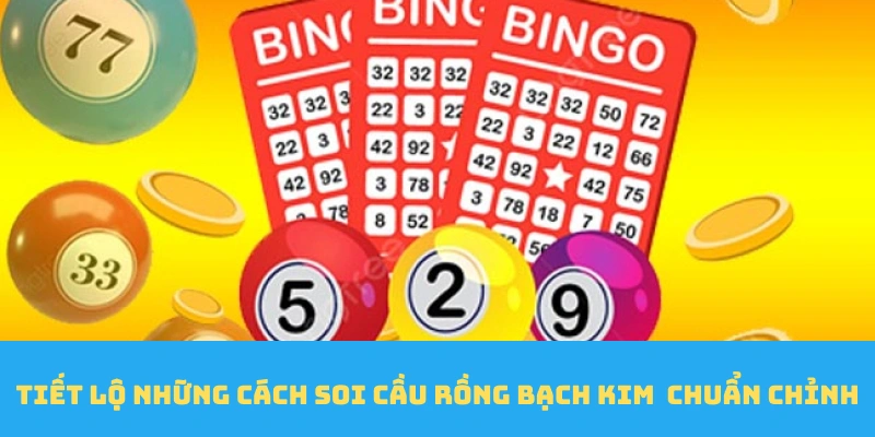 Tiết lộ những cách soi cầu rồng bạch kim chuẩn chỉnh