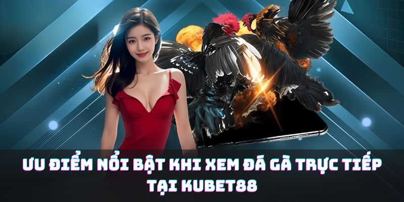 Ưu điểm nổi bật khi xem đá gà trực tiếp tại KUBET88
